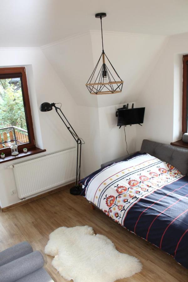Apartament Antolka ザコパネ エクステリア 写真