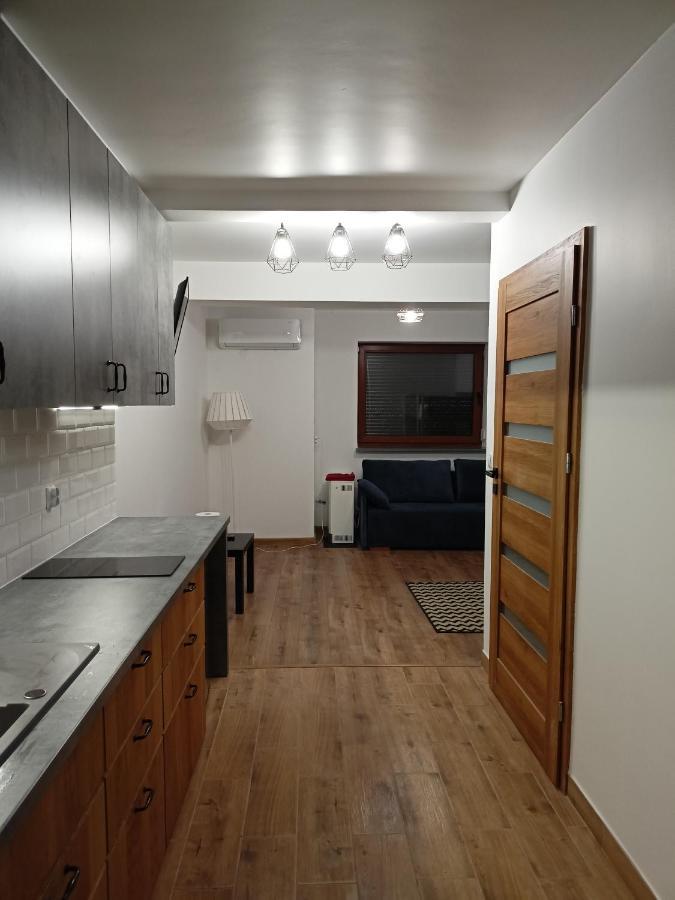 Apartament Antolka ザコパネ エクステリア 写真