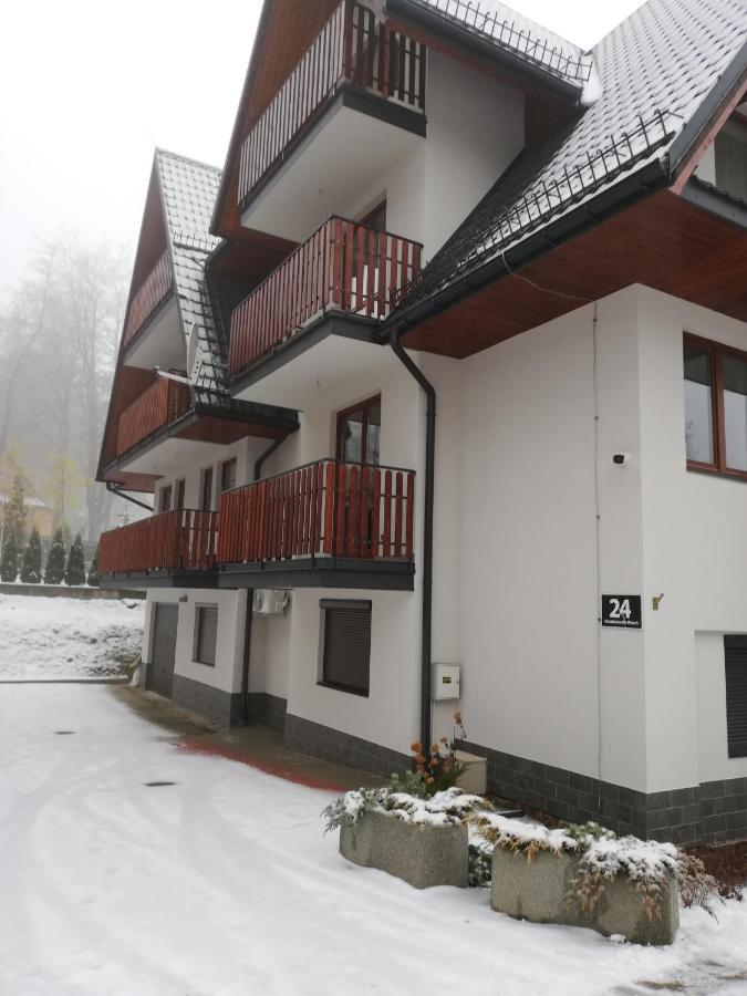 Apartament Antolka ザコパネ エクステリア 写真