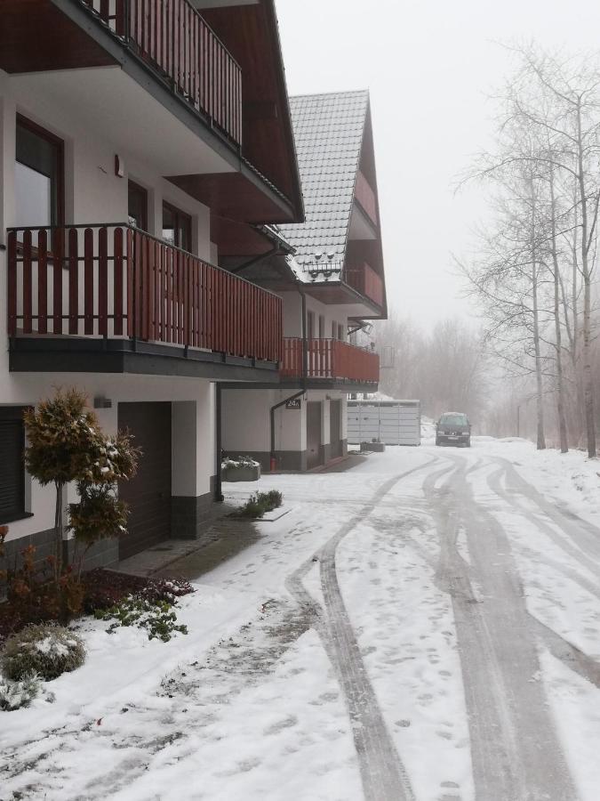 Apartament Antolka ザコパネ エクステリア 写真